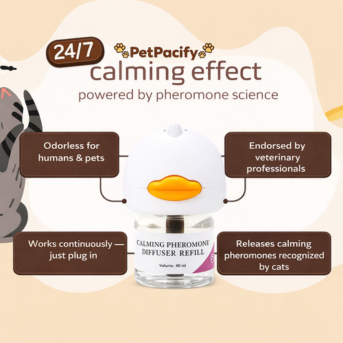 PetPacify Cats Refills